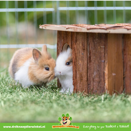 Trixie Jesper Corner House 52 cm for Guinea Pigs & Rabbits