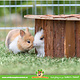 Trixie Jesper Corner House 52 cm for Guinea Pigs & Rabbits