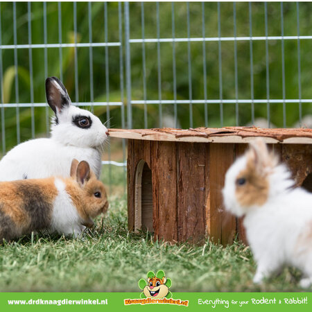 Trixie Corner house Jesper 52 cm