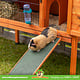 Trixie Drewniana rampa 50 cm dla świnek morskich i królików
