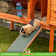Trixie Houten Loopplank 50 cm voor Cavia’s & Konijnen