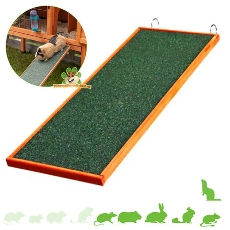 Trixie Rampa de madera de 50 cm para cobayas y conejos.