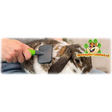 Trixie Soft Rodent Brush for Guinea Pigs and Rabbits