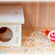 Trixie Spijkervrij Multi-room house 2 rooms for rodents