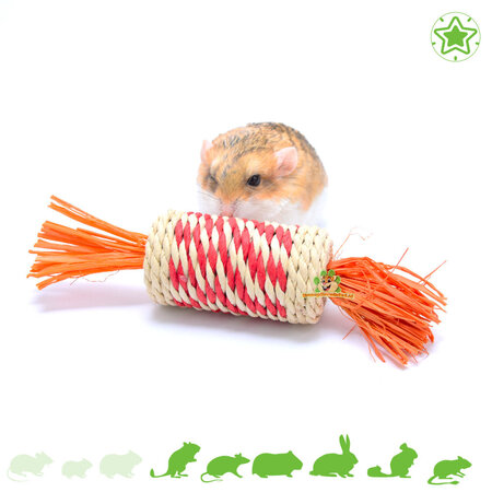 Trixie Jouet orange de 18 cm pour rongeurs et lapins