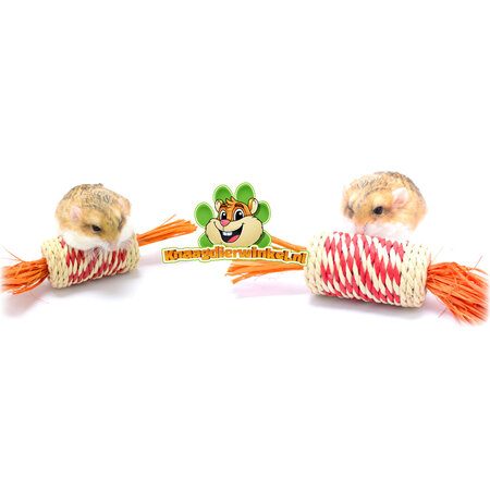 Trixie Jouet orange de 18 cm pour rongeurs et lapins