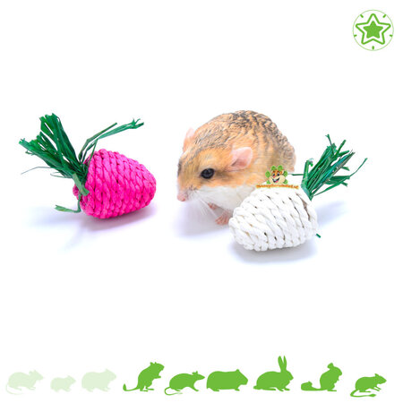 Trixie Stro Speelgoed Radijsjes 8 cm