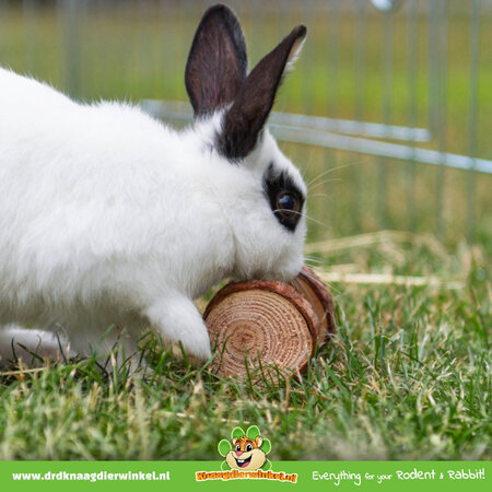 Trixie Set Houten Halters 4,5 cm