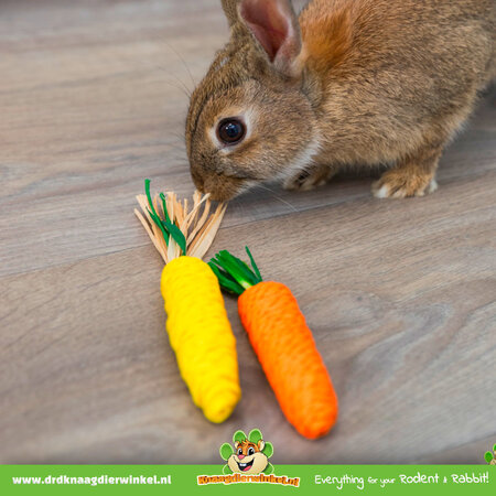 Trixie Spielzeug aus Mais- und Karottenstroh, 15 cm