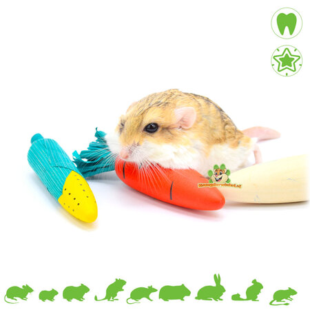 Trixie  Royendo madera con paja