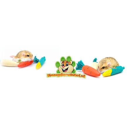 Trixie Chewing Wood with Straw for Rodents & Rabbits