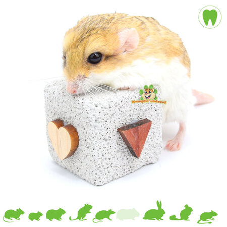 Ferplast Lavastein PA 4776 für Nagetiere und Kaninchen!