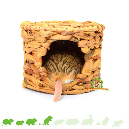 Domek dla królików, hiacynt wodny dla gryzoni!
