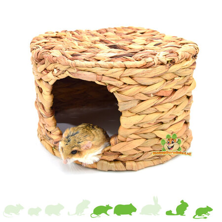 Grass House Rabbit House Jacinthe d’eau pour rongeurs !