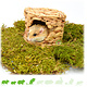 Grass House Rabbit House Water Hyacinth for Rodents!