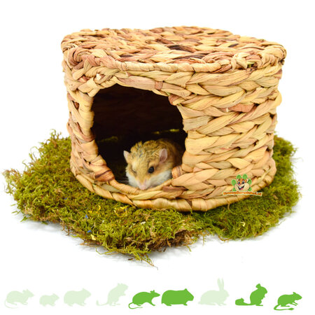 Domek dla królików, hiacynt wodny dla gryzoni!