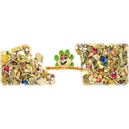 JR Farm Oasis à base de plantes pour rongeurs et lapins