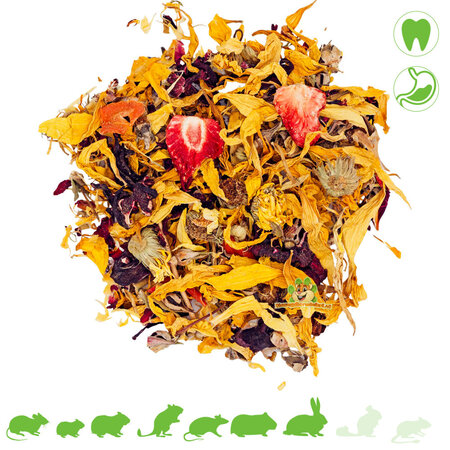 JR Farm Flower Paradise for Rodents & Rabbits