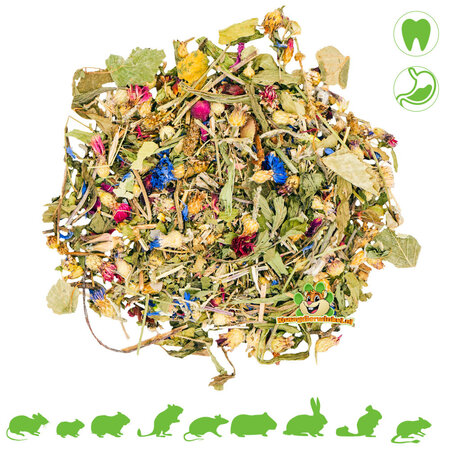 JR Farm Oasis herbal para roedores y conejos