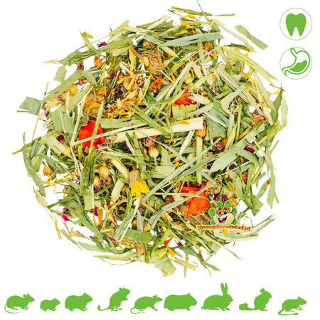 JR Farm Vegetable Garden for Rodents & Rabbits