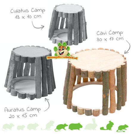 Camp de Willow House
