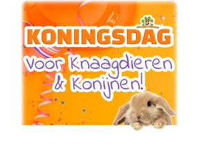 Koningsdag