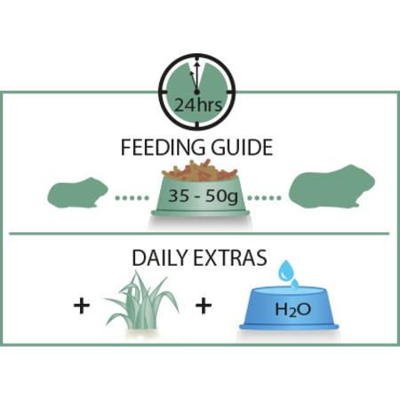 Versele-Laga Nourriture complète pour cochon d'Inde Nourriture pour cochon d'Inde