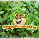 Knaagdier Kruidenier Fresh BIO Thyme Plant