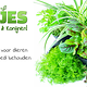 Knaagdier Kruidenier Verse BIO Weegbree Plant