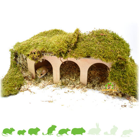 Cavia Station Huis Blank & Watchbox voor Knaagdieren!