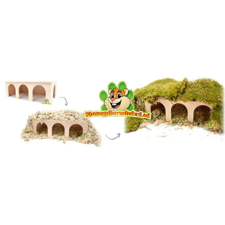 ¡Casa de estación de conejillos de indias en blanco y caja de reloj para roedores!