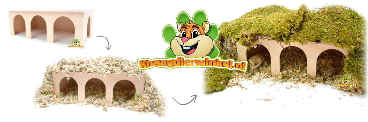 banner Wooden Rodent House Elmato Guinea Pig Station - Suitable for mice, dwarf hamsters, hamsters, gerbils, rats and guinea pigs - Ideal for hamsterscaping or as a watch box - Dimensions: 45 cm - Natural and safe rodent enclosure