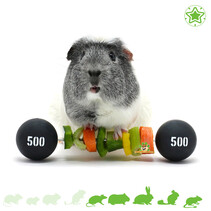 Circus Guinea Pig Veggie Dumbbell 22 cm