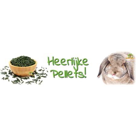 Knaagdier Kruidenier Echinacea Pellets 200 grams for Rodents & Rabbits