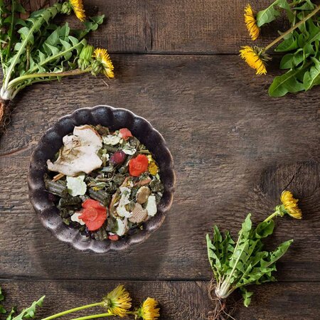 JR Farm Getreidelose Mischung aus Chinchillafutter und Teigfutter