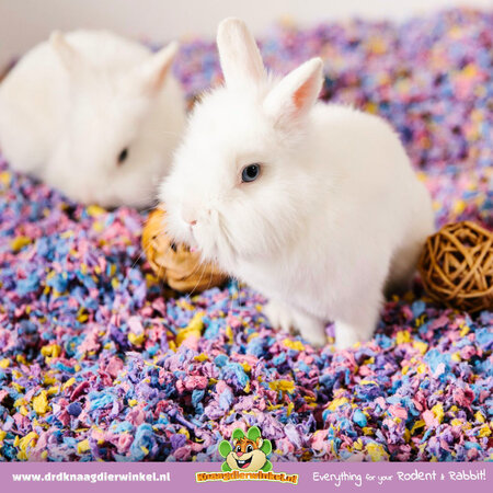 Chipsi Carefresh Confetti Paper Bedding for Rodents and Rabbits