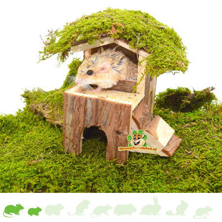 Trixie Huis Bjork 15 cm voor Muizen & Dwerghamsters