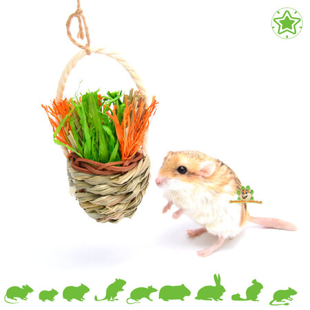 Quapas! Festlicher Knabberkorb für Nager und Kaninchen!