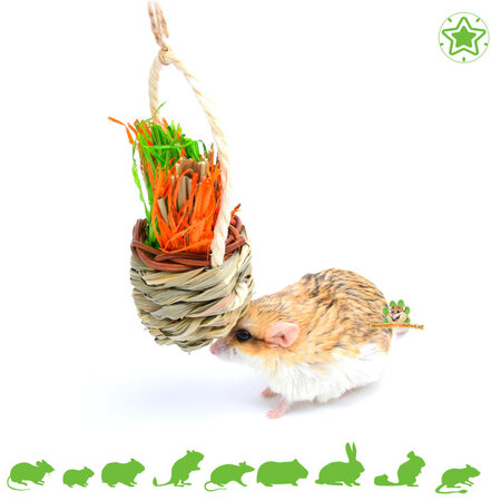 Quapas! Festlicher Knabberkorb für Nager und Kaninchen!