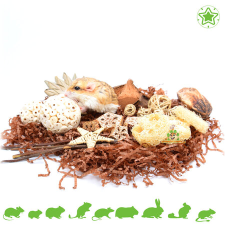 Quapas! Natural Giftbox Package Hamsterscaping and Fun