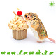 Rodent Cupcake 14 cm