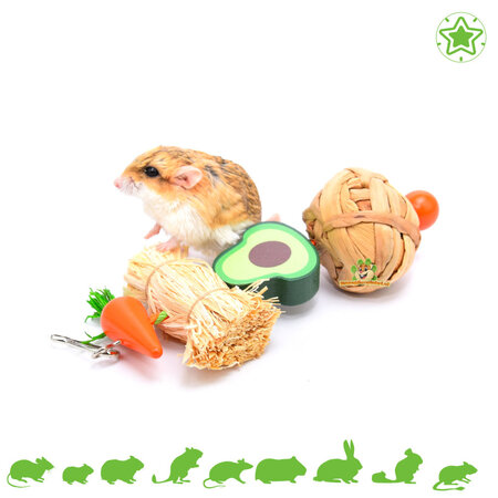 Quapas! Jouet à grignoter en bois en forme d'avocat 22 cm