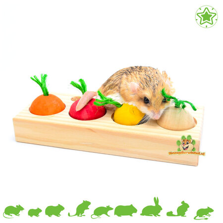 Quapas! Houten Knaagdier Veggie Snack Puzzel 21 cm voor Knaagdieren en Konijnen