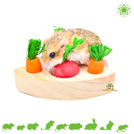 Quapas! Wooden Rodent Veggie Snack Puzzle 13cm Triangle
