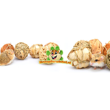 Quapas! Giftbox met 8 Speelballen voor Knaagdieren en Konijnen