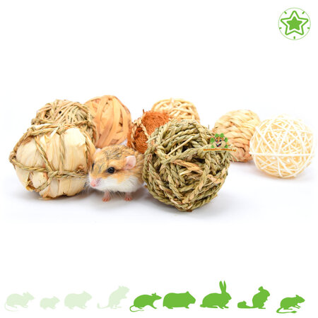 Quapas! Gift box with 8 Play Balls for Rodents and Rabbits