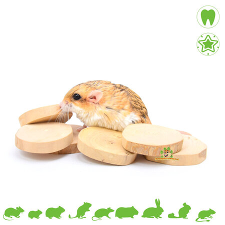 Quapas! Wooden Coffeewood Discs 6 pieces for Rodents and Rabbits