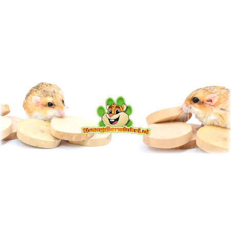 Quapas! Discos de madera de café 6 piezas para roedores y conejos