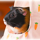 Pluche Hangmat Tipi Tent 42 cm voor ratten, cavia’s en chinchilla’s