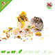 Knaagdierwinkel® Hamsterscaping Déco Brouette en Bois 11 cm